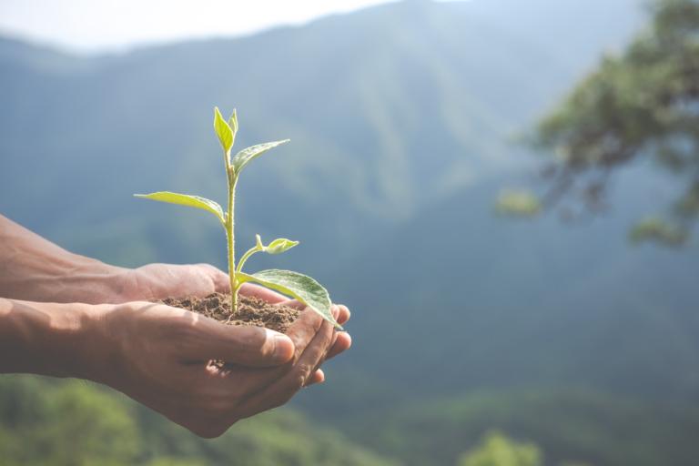 A pair of cupped hands cradling a sapling, growing from a small mound of soil. In the background is a lush green mountain with a clear sky above.