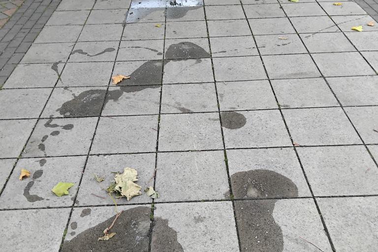 Pavement in Kingsbridge looking cleaned.